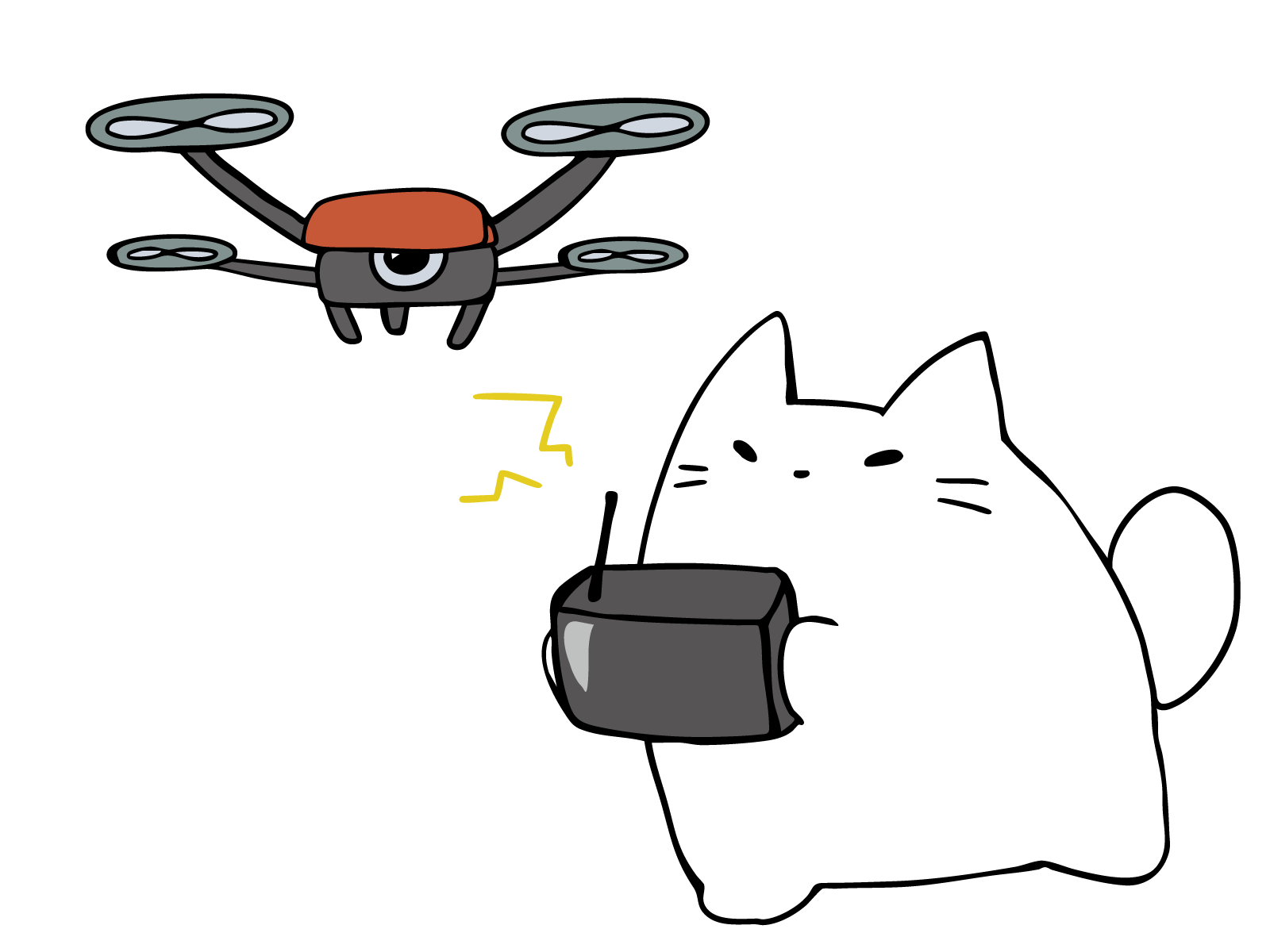 cat-right-1