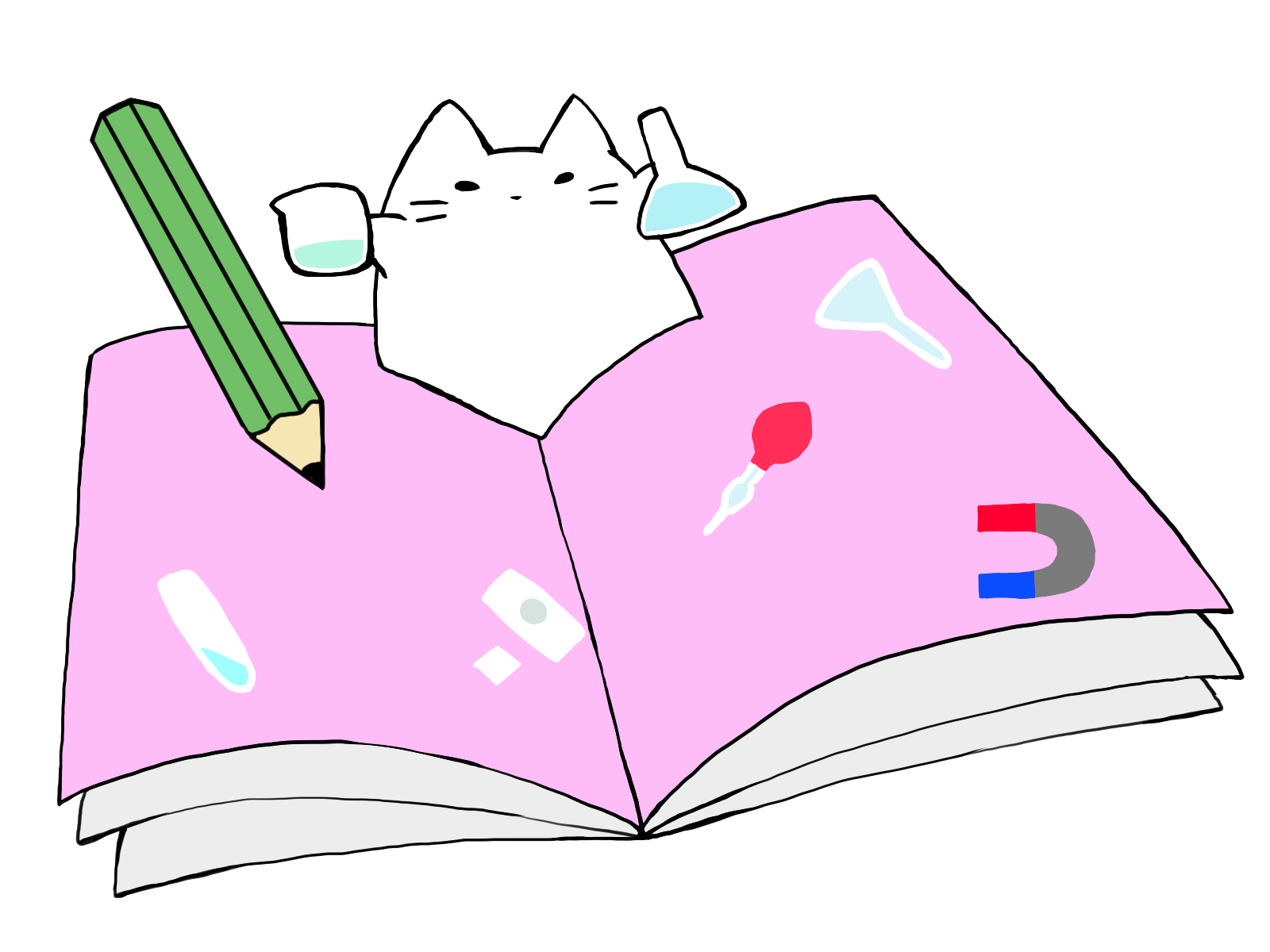 cat-right-2